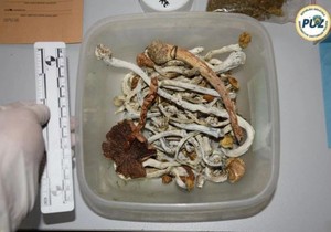 Lude gljive policija Zagreb