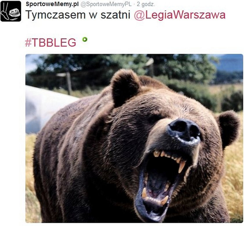 Fani kpią z Legii i po klęsce w Niecieczy. MEMY