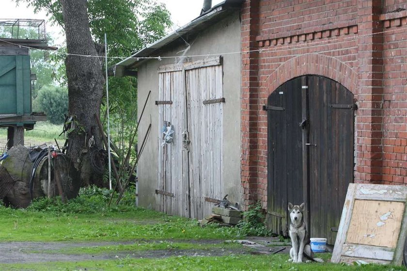 Pijany ojciec rozjechał synka. NOWE FAKTY