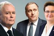 pis, sondaż, poparcie, kaczyńki, lubnauer, schetyna, 