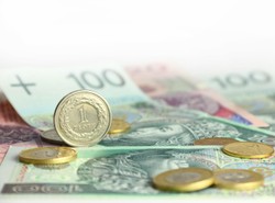 Złoty rośnie w siłę. Najmocniejszy od marca