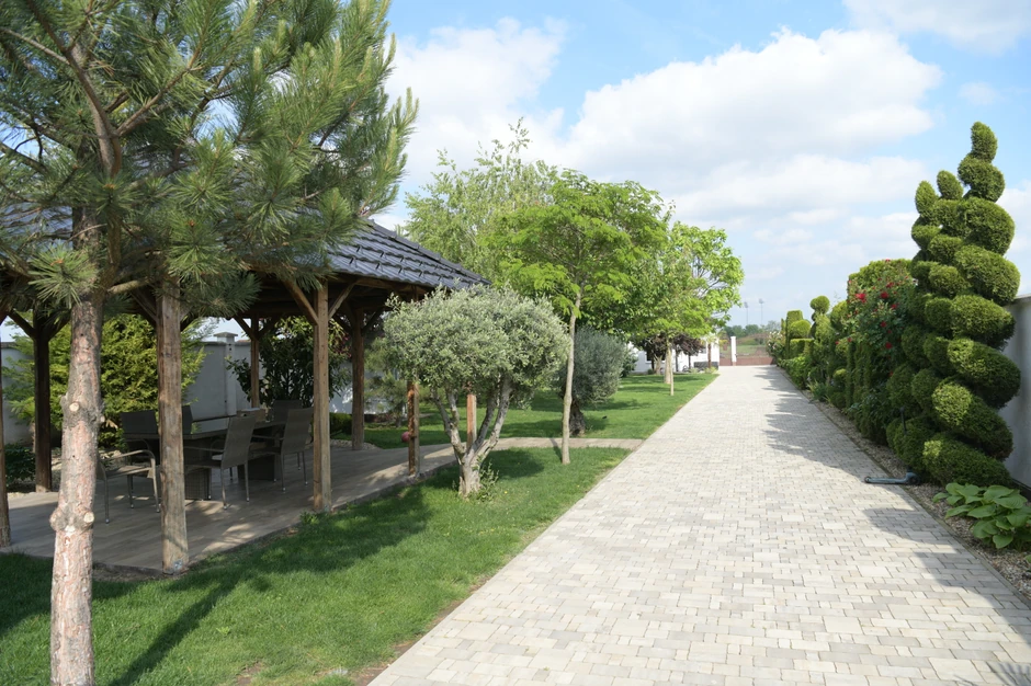 Seka Aleksić, kuća