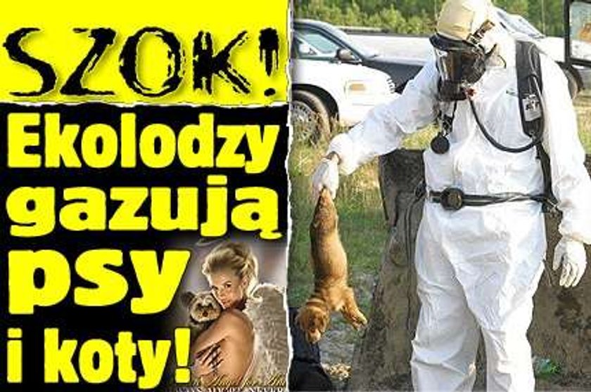 Szok! Ekolodzy gazują psy i koty