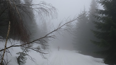 IMGW ostrzega przed mgłą i śniegiem na południu kraju