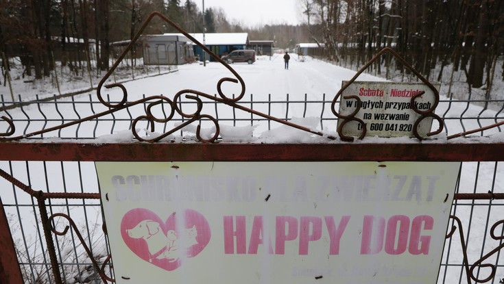 Schronisko w Sobolewie zamknięte: „Nie będzie taryfy ulgowej”