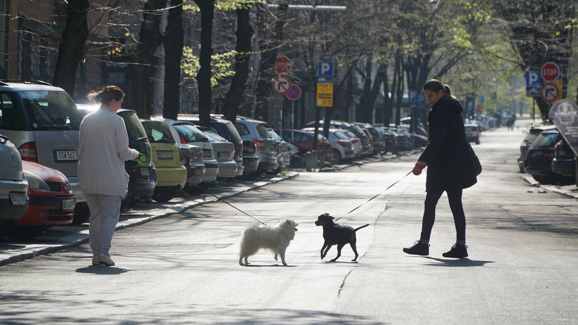 Objava ove Beograđanke na internetu nema nijedan negativan komentar