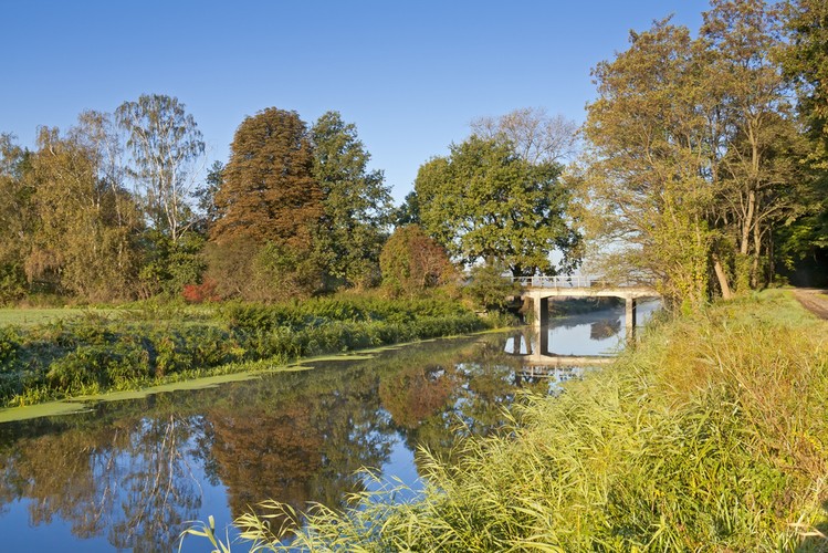 Warto jest także sprawdzić stan wód gruntowych na naszej działce. Najlepszą porą do sprawdzania poziomu wód gruntowych jest wiosna. Wraz z topnieniem śniegu można najefektywniej sprawdzić czy woda wsiąka w glebę czy zalega na działce. Najbezpieczniej jest zatrudnić geologa, który wykona odwierty i odpowiednio opisze stan. Można również zrobić to domowymi sposobami – czyli wykopać kilka dołków o różnej głębokości i poczekać kilka godzin w celu sprawdzenia czy woda nie napływa w jeden z wykopanych otworów. Sprawdzenie stanu wód gruntowych jest bardzo ważne zwłaszcza przed postawieniem domu. Może to zmienić jego architekturę oraz koszty  budowy. Jeżeli mamy na działce wysoki poziom wody oraz niską przepuszczalność gleby to możemy zapomnieć o podpiwniczeniu. Bezpieczny poziom wody powinien znajdować się min. 1 metr pod planowanym poziomem domu.