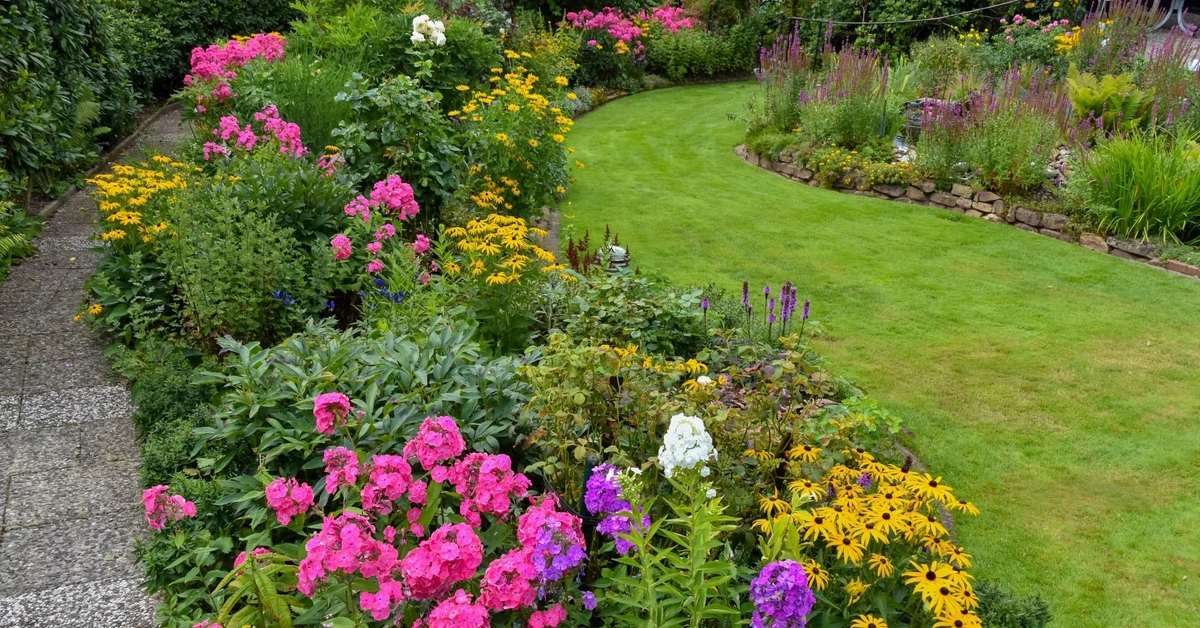 Najpiękniejsze byliny wieloletnie, długo kwitnące, zimujące w gruncie. Kwiaty wieloletnie do ogrodu bez wykopywania