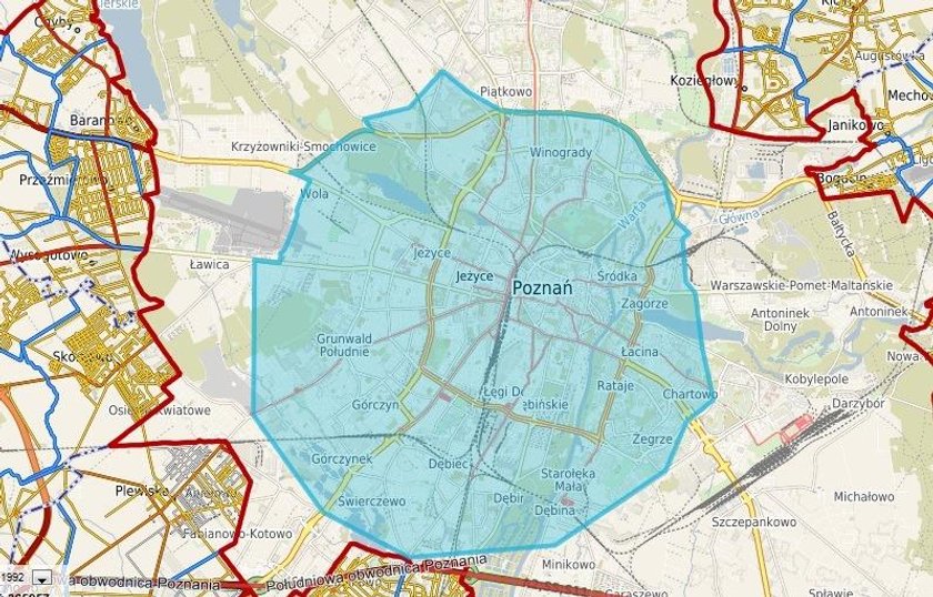 Wściekły nietoperz pokąsał poznaniaka. Ten obszar jest zagrożony