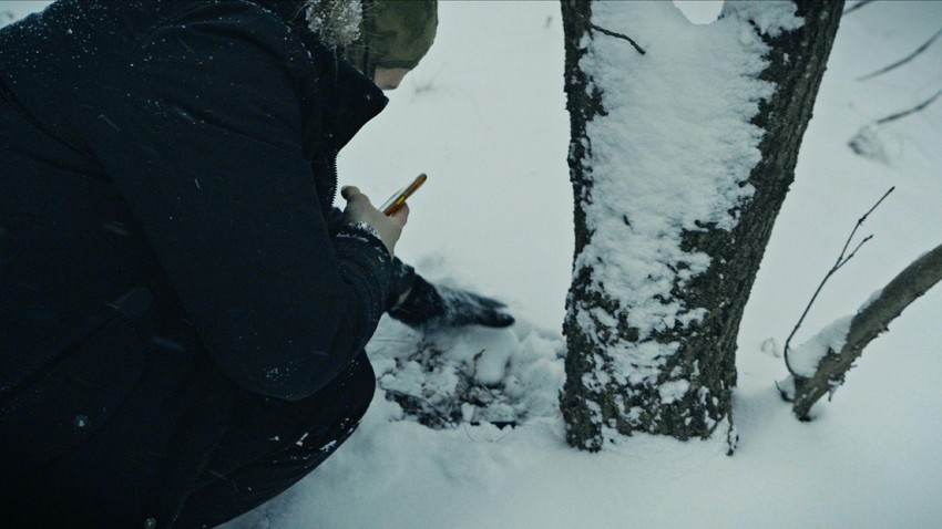 Upravo ovde, u šumskom pojasu, Maksim je pronašao prvi skriveni ulov | Foto: BBC