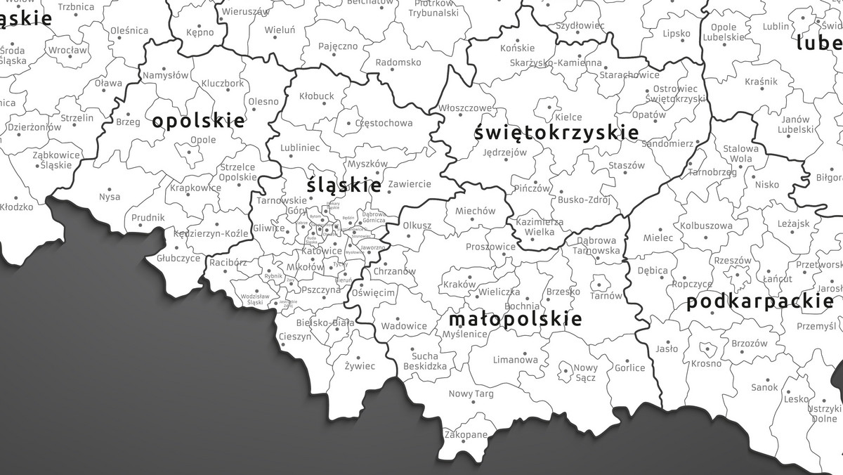 Ruch Autonomii Śląska: zmiana nazwy województwa śląskiego nie rozwiąże problemów