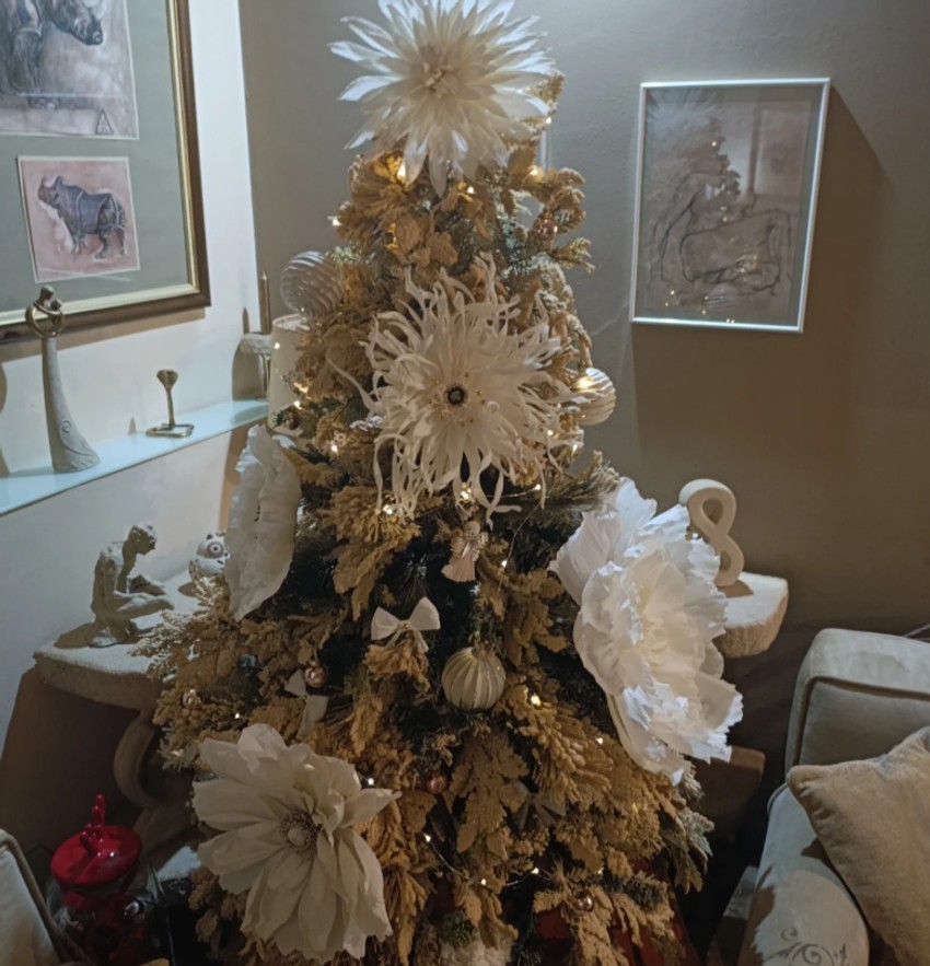  Miroslava Krstić, dom