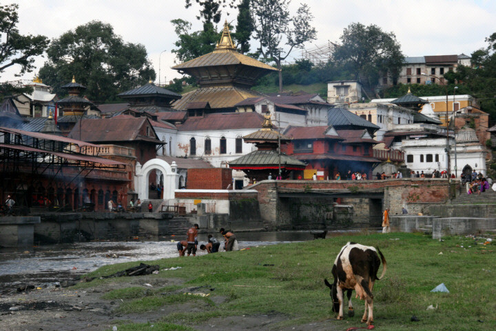 Nepal, Kathmandu, okolice Świątyni Pashupatinath