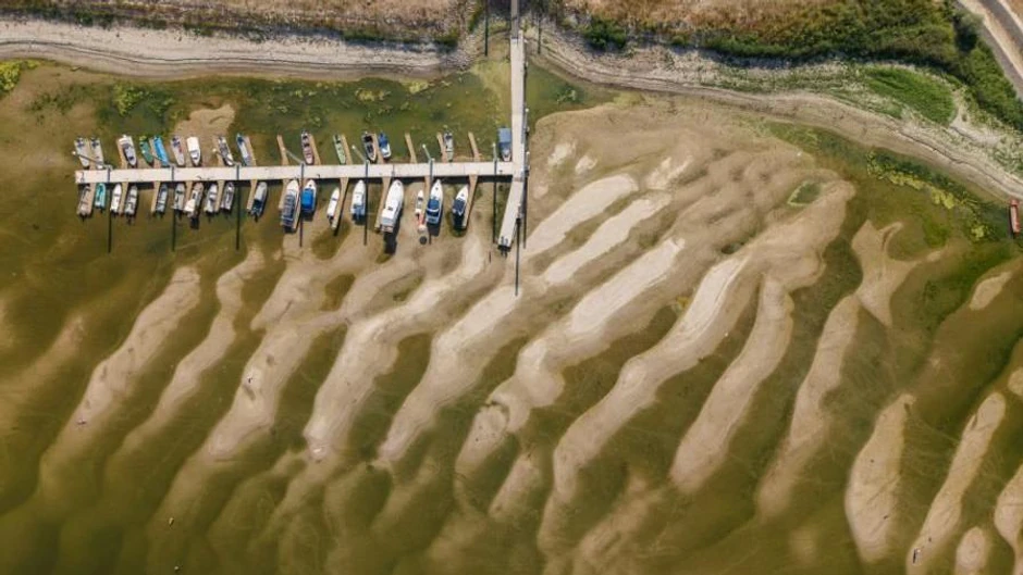 Dunav kod Batine u Hrvatskoj | Foto: Reuters