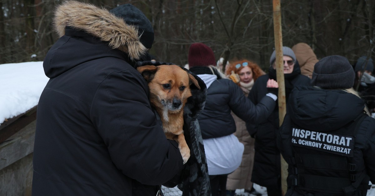 Wielki biznes na patoschroniskach. "Portfele dzięki nim puchną"