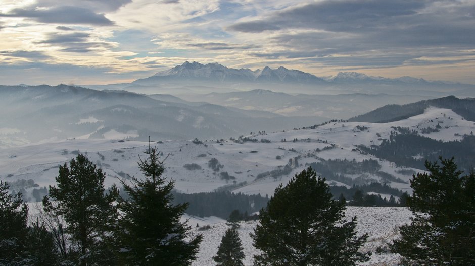 Widok na Tatry z Małych Pienin