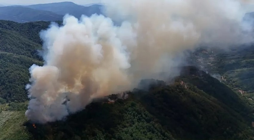 Veliki požar kod Knjaževca