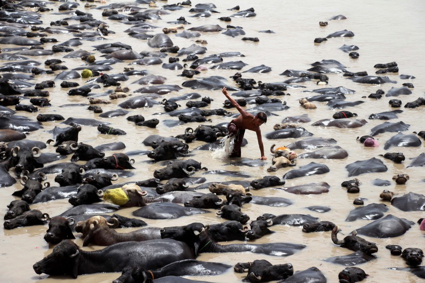 Vrućine krajem juna u Pakistanu - Larkana