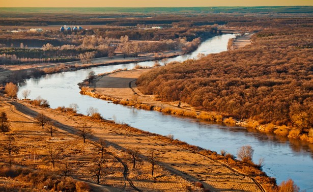 Rzeki w Polsce są wolne od złotych alg. Wyjątek stanowi Odra