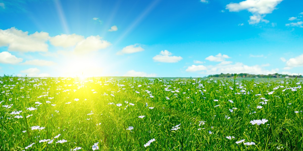 Synoptycy zapowiadają, że w nadchodzącym tygodniu czekają nas też dni z temperaturami powyżej 25 st. C