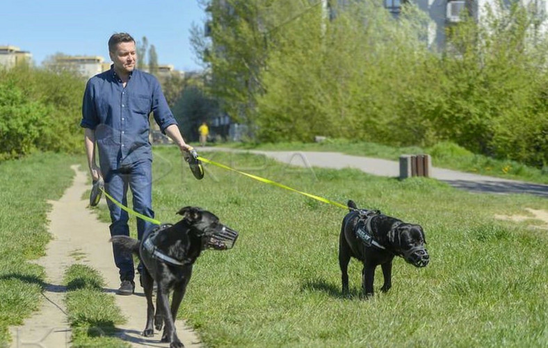 Robert Kudelski na spacerze z psami