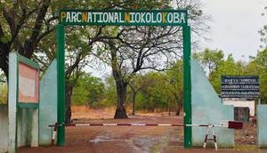 parc-du-niokolo-koba-senegal