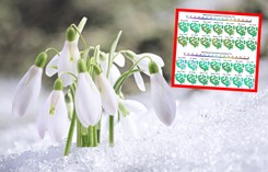 Najnowsza prognoza na 14 dni. Takiej pogody niewielu się spodziewało