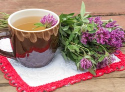 Zegar herbaciany. Jakie ziółko rano, a jakie wieczorem?