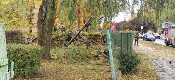 Połamane drzewa i gałęzie. Strażacy usuwają skutki silnego wiatru