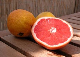 grapefruit-280-d000008C4611169a12c95
