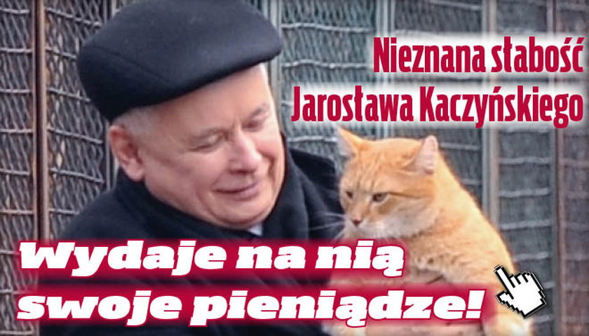 Jarosław Kaczyński i Kot Felix