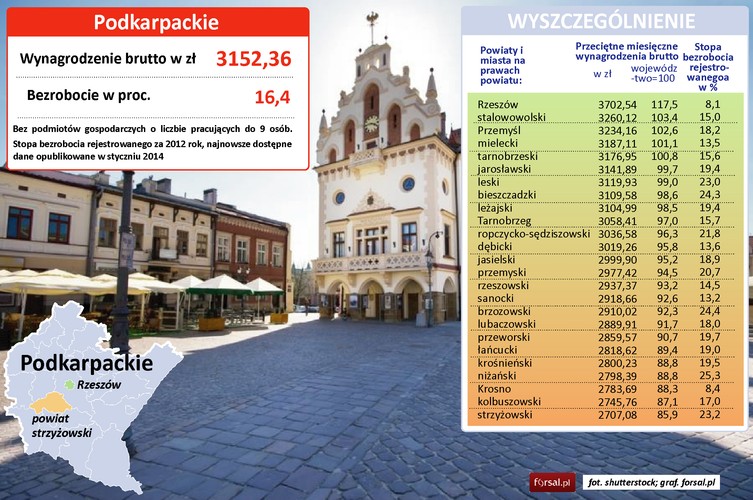 Wśród 19 powiatów Podkarpacia najwyższe wynagrodzenia oferuje stolica województwa. W Rzeszowie średnia pensja wynosi 3702 zł brutto, podczas gdy średnia pensja w całym regionie sięga 3152 zł. To również o 1000 zł więcej niż w powiecie strzyżowskim, gdzie średnia pensja jest najniższa i wynosi 2707 zł brutto.

Stopa bezrobocia wynosi tu 16,4 proc., co stawia Podkarpacie na czwartym miejscu w Polsce... od końca. Największymi pracodawcami są Asecco Poland oraz Grupa Azoty. Asecco zatrudnia blisko 4,5 tys. osób, a w ramach grupy kapitałowej – już ponad 16 tys.

Region specjalizuje się w przemyśle lotniczym. Miejscowy klaster Dolina Lotnicza jest znany też z ośrodka szkolenia pilotów i ośrodków badawczych. Do najważniejszych miast klastra prócz Rzeszowa należą Mielec (średnia pensja wynosi tam 3187 zł brutto), Krosno (2783 zł), Dębica (3019 zł), Stalowa Wola (3260 zł) oraz Sędziszów Małopolski (3036 zł).
