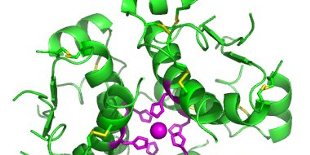 This is what a molecule of insulin looks like.