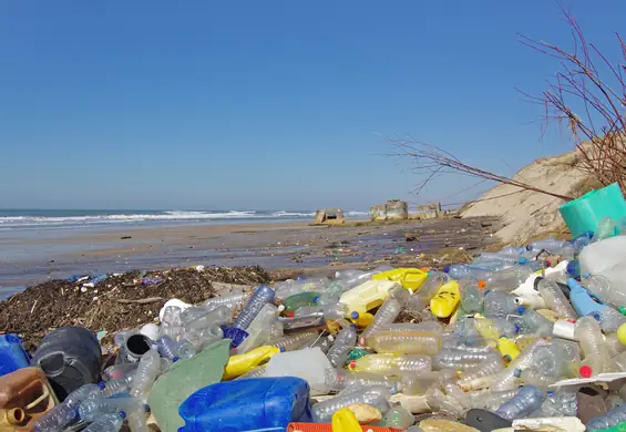 To koniec wysypisk śmieci? Naukowcy przez przypadek zrobili enzym, który rozkłada plastik w kilka dni