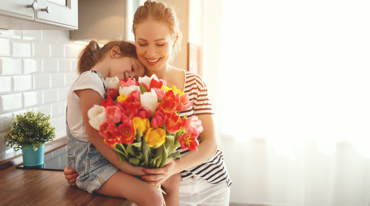 Népszerű a tulipán is / Fotó: Shutterstock