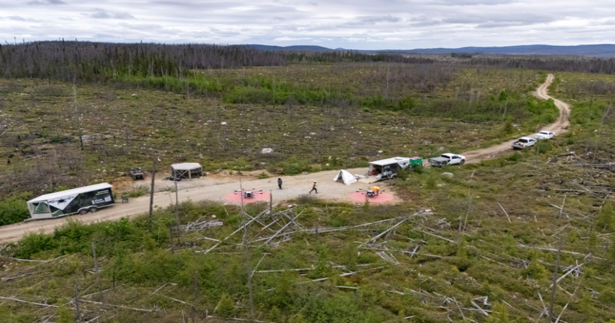 Drones reboisent le Québec après mégafeux de 2023