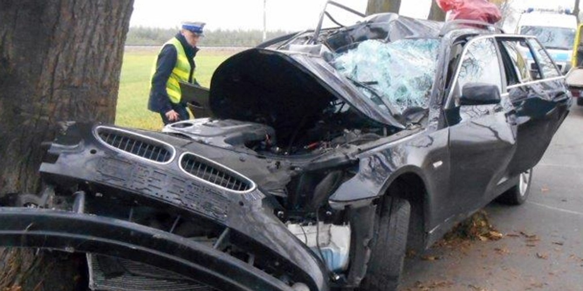 Policjant ze Świebodzina uderzył w drzewo