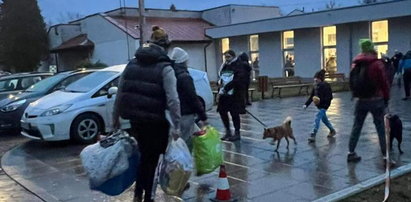 Ogromny sukces akcji krakowskiego schroniska. Aż kilkadziesiąt psów znalazło dom na stałe