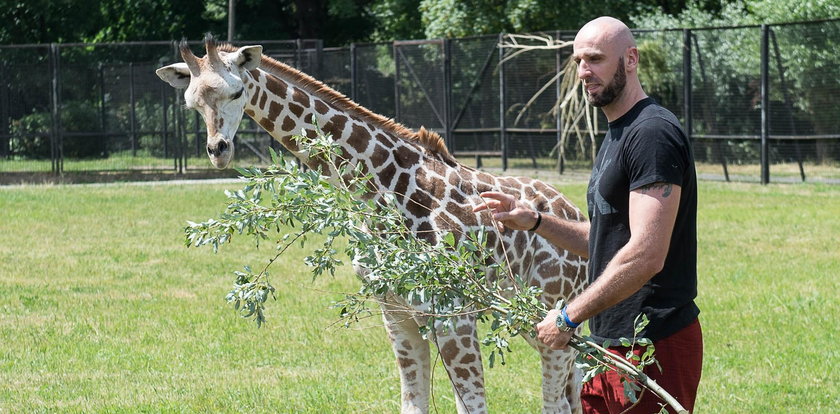 Gortat oko w oko z żyrafą. Zobacz jak ją karmił