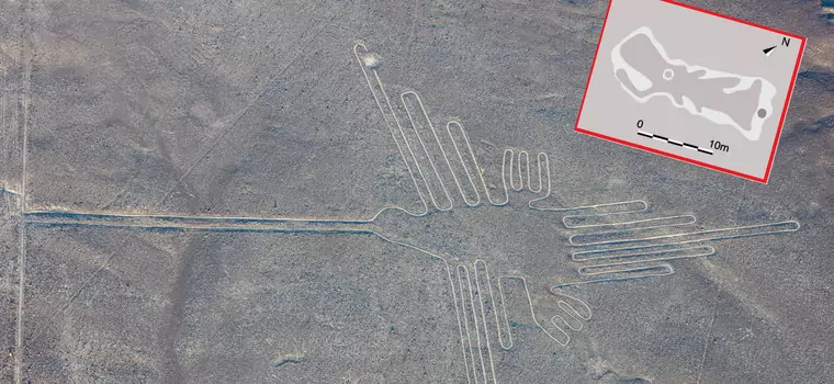 Ryba, ptak, humanoid i… gigantyczne nogi. Naukowcy odkryli nowe rysunki z Nazca