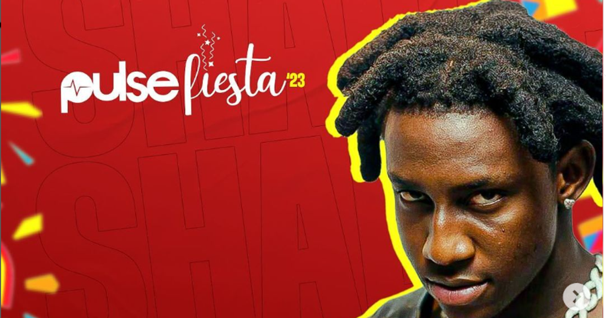 Pulse Fiesta: Detty December concerts to attend in Lagos - Vimarsana News