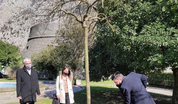 1614000899-1614000090-Sjećanje na Balaševića, foto