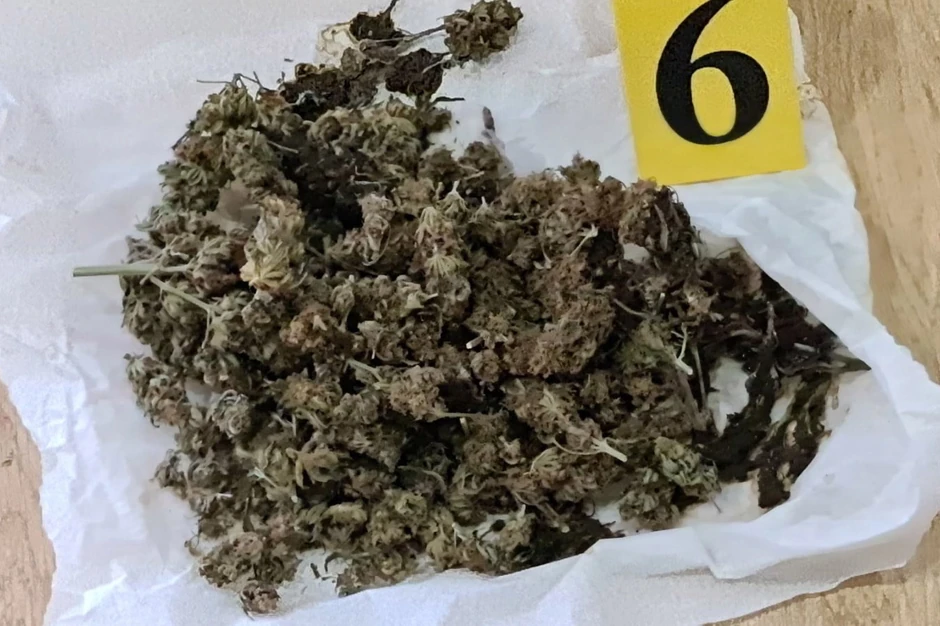 Droga pronađena u Prnjavoru 