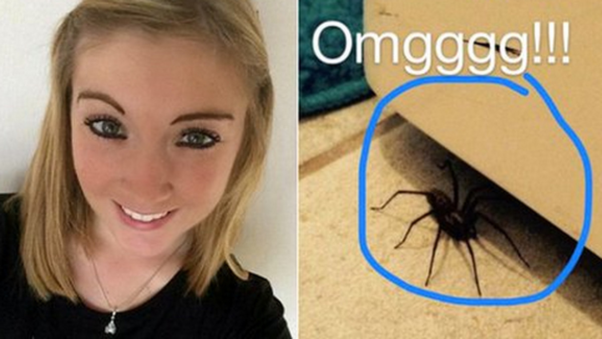 21-letnia Natalie Woods z hrabstwa Kent boi się o swoje zdrowie. Wszystko przez ogromnego pająka, który mieszka pod jej prysznicem - informuje "Daily Mail".
