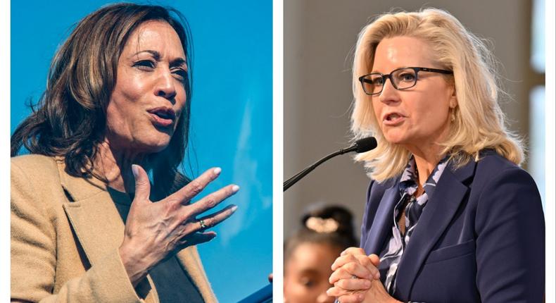 Former Rep. Liz Cheney (right) said she'd be voting for Vice President Kamala Harris (left) for president.Left: Joseph Prezioso/AFP via Getty Images Right: Paras Griffin/Getty Images