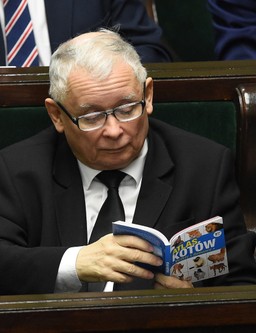 Kaczyński czyta w sejmie książkę o kotach. Rzeczniczka PiS: Niech ta lektura zachęca do wsparcia schronisk