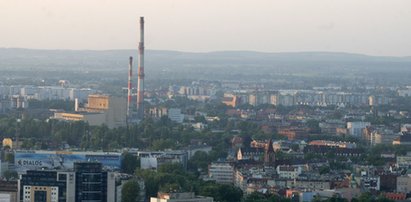 Tutaj najłatwiej o pracę. Rekord?