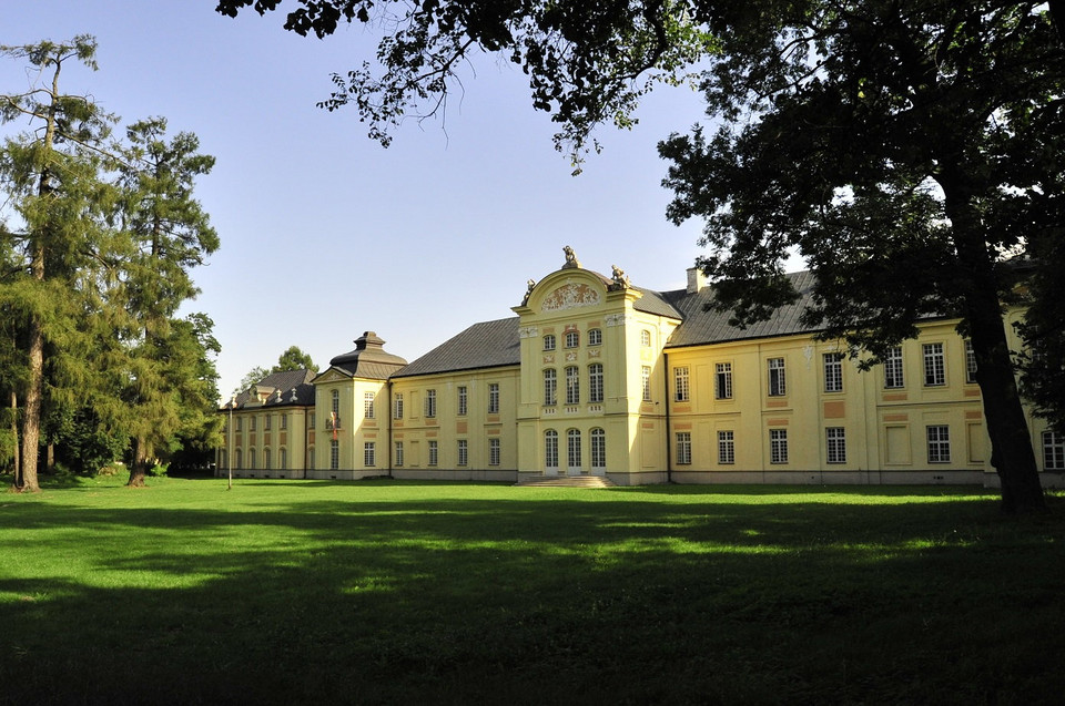 1. miejsce – Pałac Potockich (Lubelskie/Radzyń Podlaski) – 28,58%