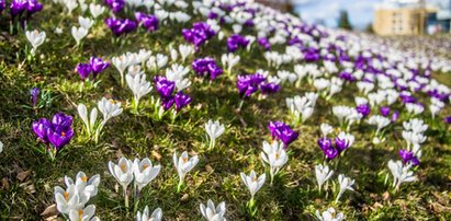 Pogoda na święta. Dobra i zła wiadomość