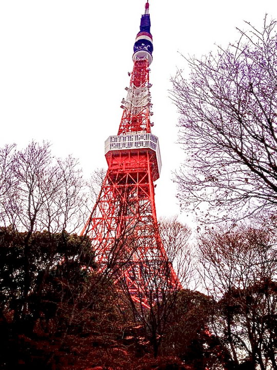 Tokyo Tower została ukończona w 1958 roku i ma 333 metry wysokości